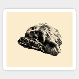 Golden lion tamarin Sticker